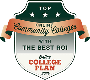 ROI Logo